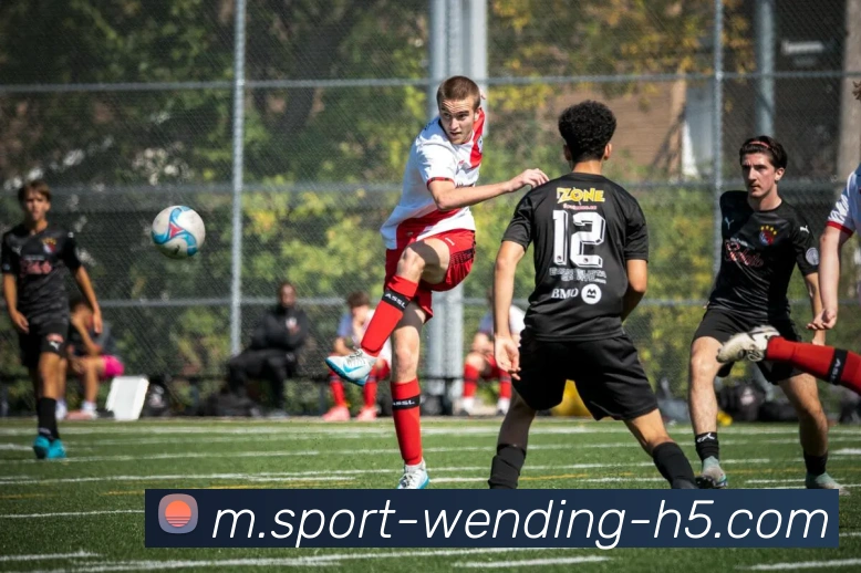 问鼎娱乐APP 封面图